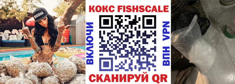 Кокаин FishScale  Магадан 