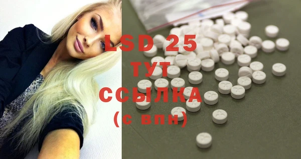 PSILOCYBIN Аркадак