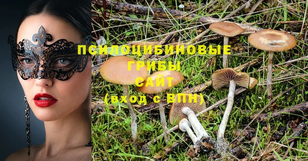 стаф Армянск