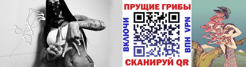 Псилоцибиновые грибы ЛСД  купить наркотики сайты  Магадан 