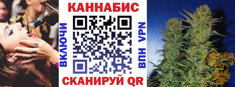 где найти наркотики  Магадан  Конопля ГИДРОПОН 